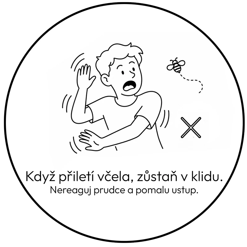 Když přiletí včela, zůstaň v klidu. Nereaguj prudce a pomalu ustup.