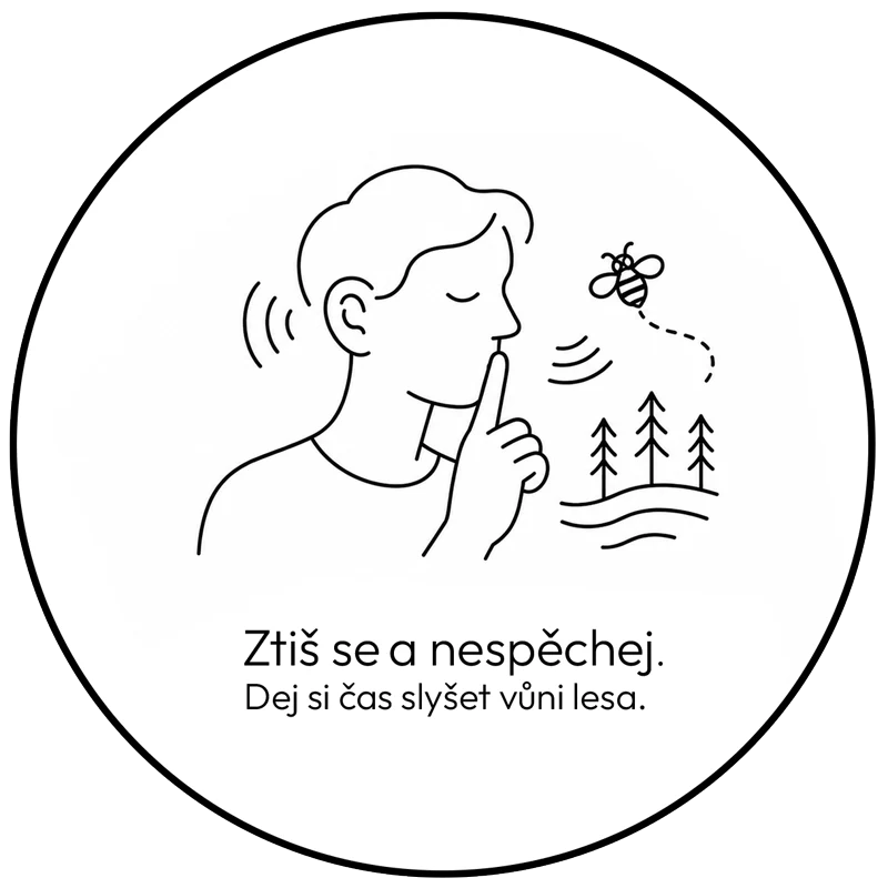 Ztiš se a nespěchej. Dej si čas slyšet vůni lesa.